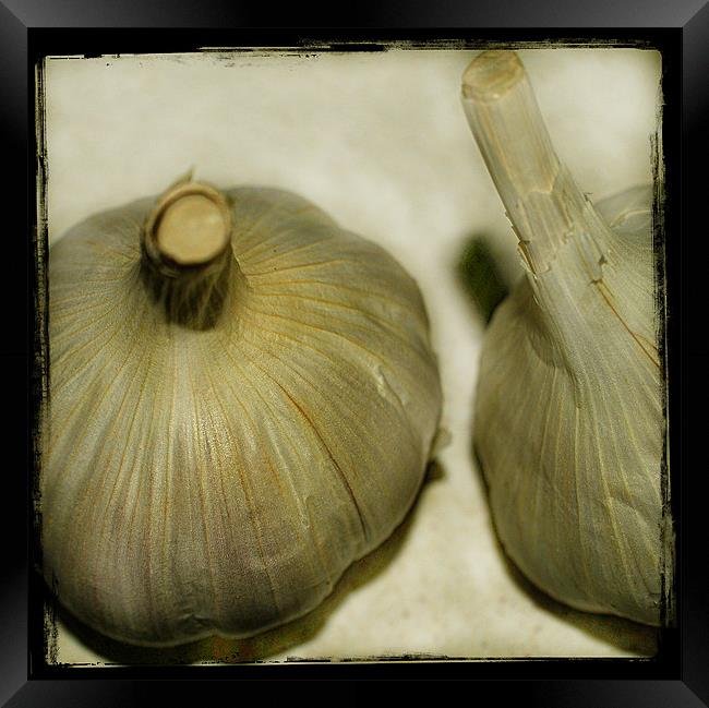 Cloves Of Garlic. Framed Print by Rosanna Zavanaiu
