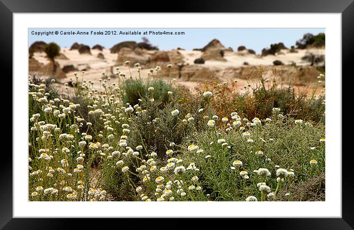 Wildflowers at Mungo Framed Mounted Print by Carole-Anne Fooks
