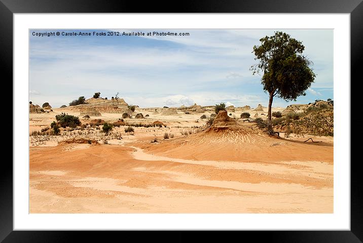 Pinnacles at Mungo by Day Framed Mounted Print by Carole-Anne Fooks