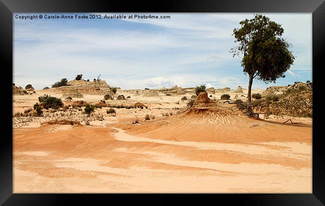 Pinnacles at Mungo by Day Framed Print by Carole-Anne Fooks