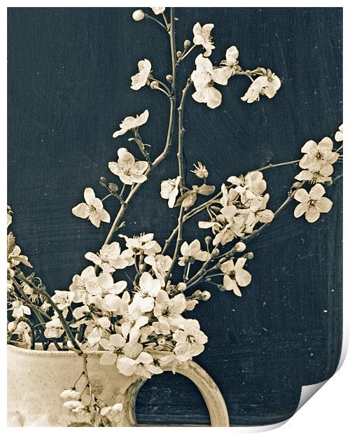 A jug of blossom Print by Cathy Pyle