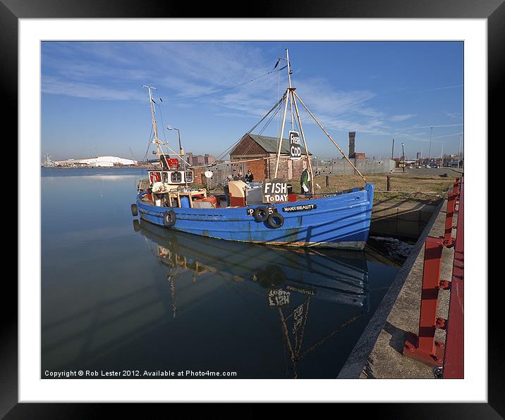 Manx Beauty Framed Mounted Print by Rob Lester