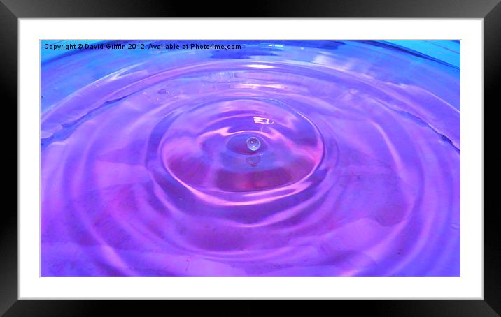Water drops Framed Mounted Print by David Griffin