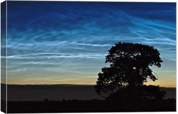 Noctilucent Magic Canvas Print by mark humpage