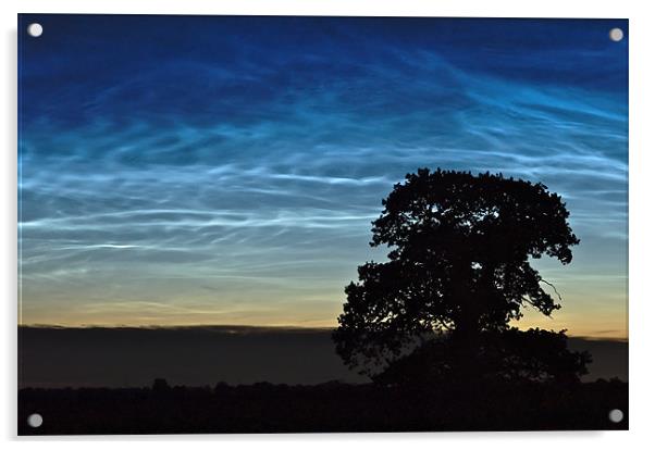 Noctilucent Magic Acrylic by mark humpage