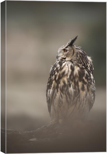 Eagle Owl Canvas Print by Natures' Canvas: Wall Art  & Prints by Andy Astbury