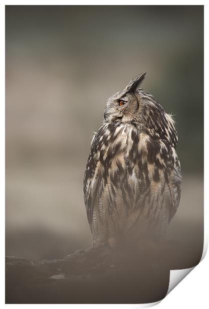 Eagle Owl Print by Natures' Canvas: Wall Art  & Prints by Andy Astbury