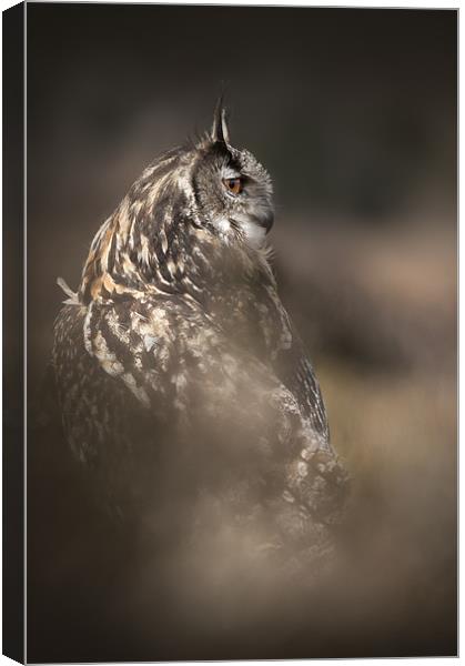 Eagle Owl Canvas Print by Natures' Canvas: Wall Art  & Prints by Andy Astbury
