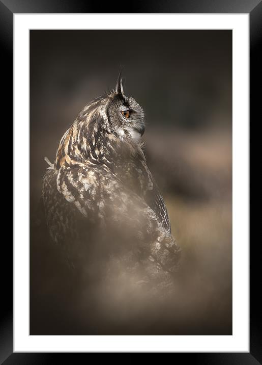 Eagle Owl Framed Mounted Print by Natures' Canvas: Wall Art  & Prints by Andy Astbury