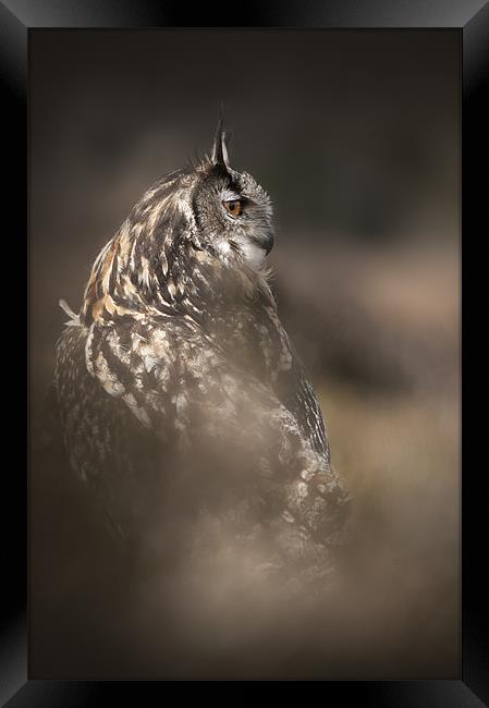 Eagle Owl Framed Print by Natures' Canvas: Wall Art  & Prints by Andy Astbury