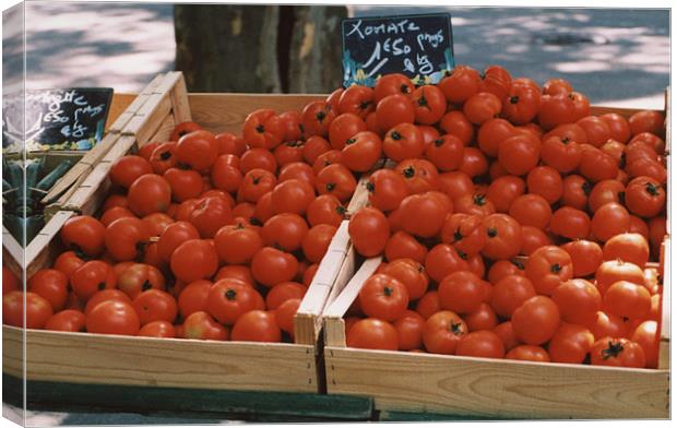 Tomatoes for Sale Canvas Print by Edward Denyer