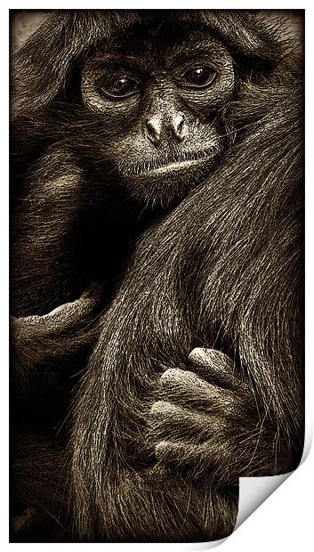 holding on Print by Heather Newton