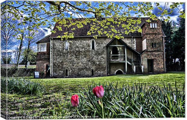 Temple Manor, Rochester Kent Canvas Print by Dawn O'Connor