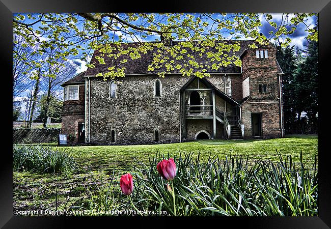 Temple Manor, Rochester Kent Framed Print by Dawn O'Connor