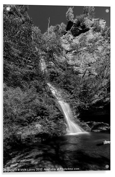 Minnehaha Falls Acrylic by Mark Lucey
