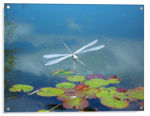 Silver Dragonfly. Acrylic by Heather Goodwin
