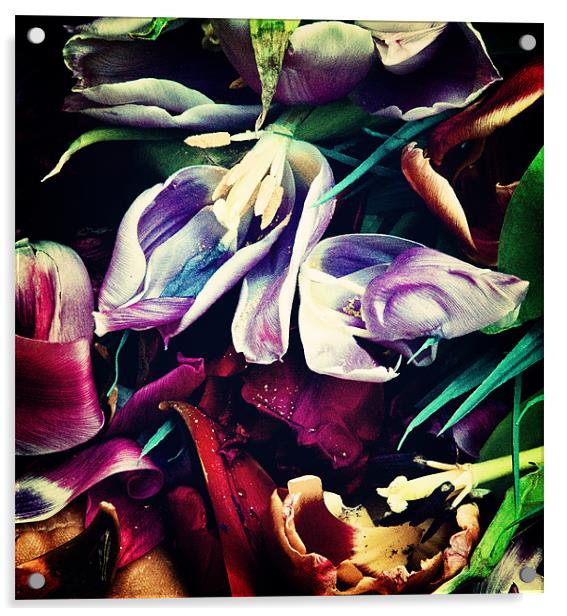 Floral Decay III Acrylic by Nina Saunders