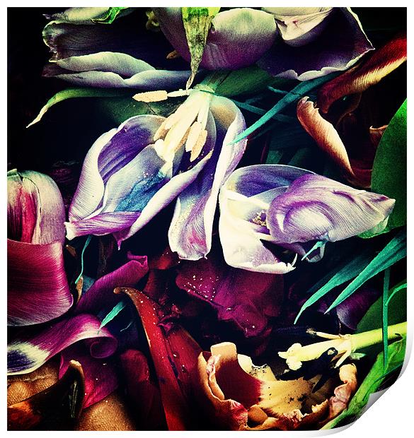 Floral Decay III Print by Nina Saunders