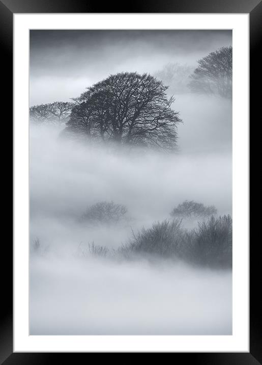 Sherriff Wood Framed Mounted Print by Natures' Canvas: Wall Art  & Prints by Andy Astbury