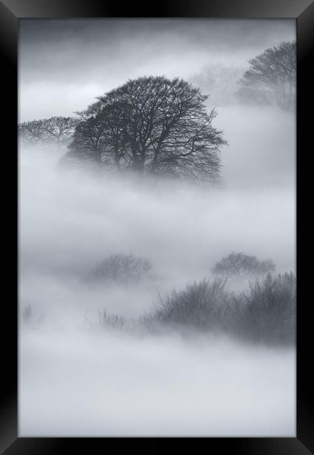 Sherriff Wood Framed Print by Natures' Canvas: Wall Art  & Prints by Andy Astbury
