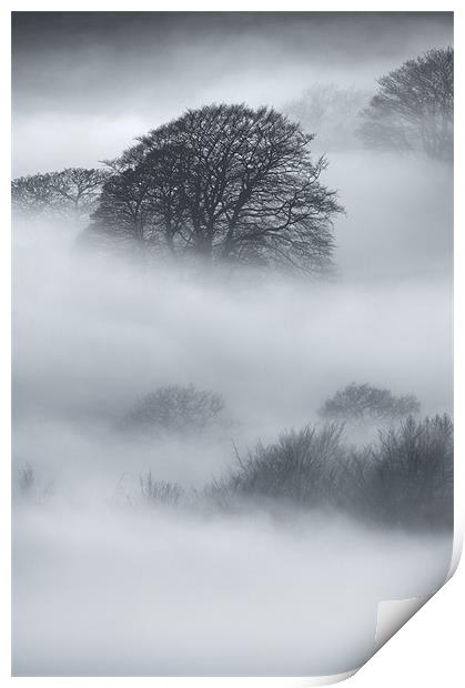 Sherriff Wood Print by Natures' Canvas: Wall Art  & Prints by Andy Astbury