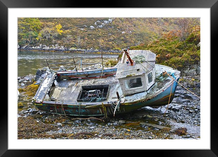 Ship Wreck Framed Mounted Print by Martin Kemp Wildlife