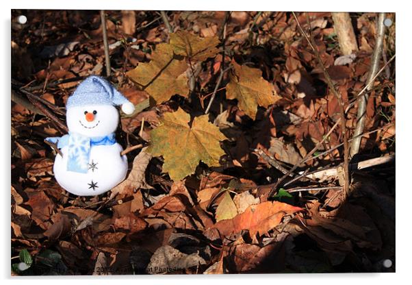Snowman Acrylic by Albert Gallant
