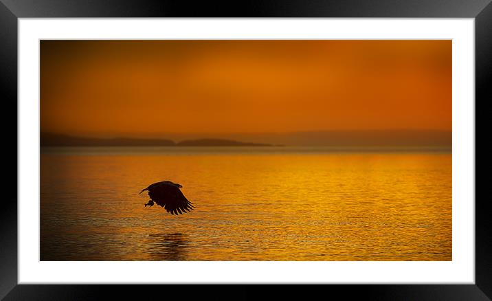 A Late Supper Framed Mounted Print by Natures' Canvas: Wall Art  & Prints by Andy Astbury