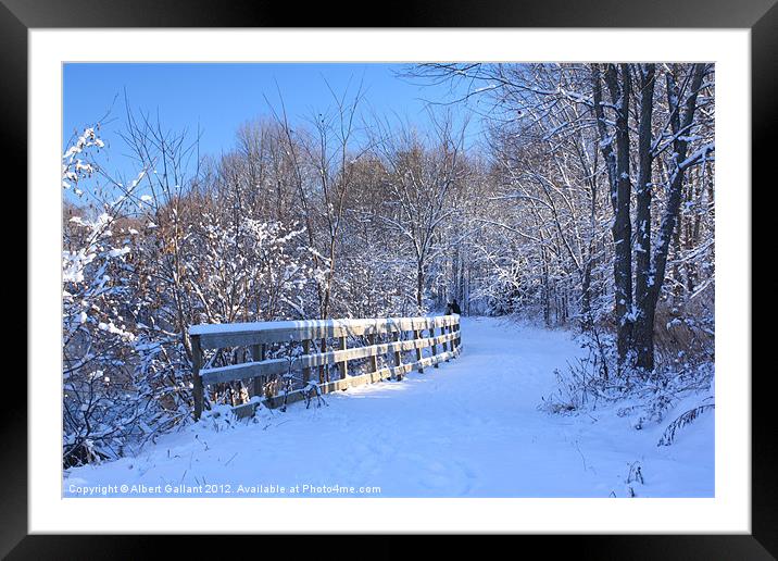 Winter Forest Path Framed Mounted Print by Albert Gallant
