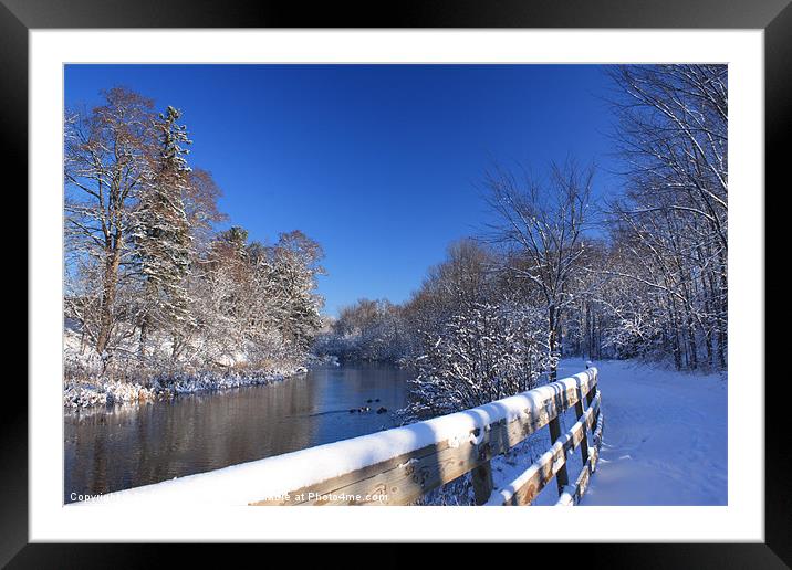 Winter path and winter brook. Framed Mounted Print by Albert Gallant