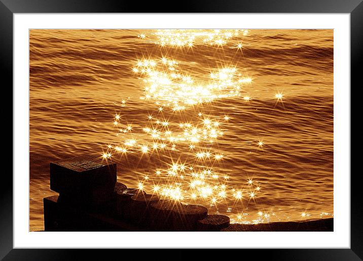 Bronzed Shimmer Framed Mounted Print by Louise Godwin