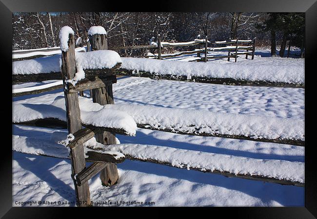 Winter fence Framed Print by Albert Gallant