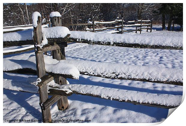 Winter fence Print by Albert Gallant