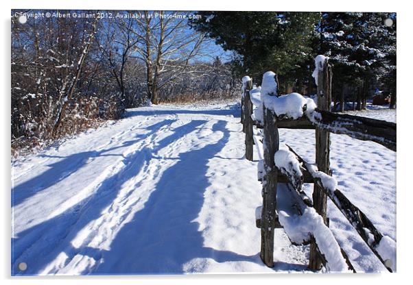 Winter Path Acrylic by Albert Gallant