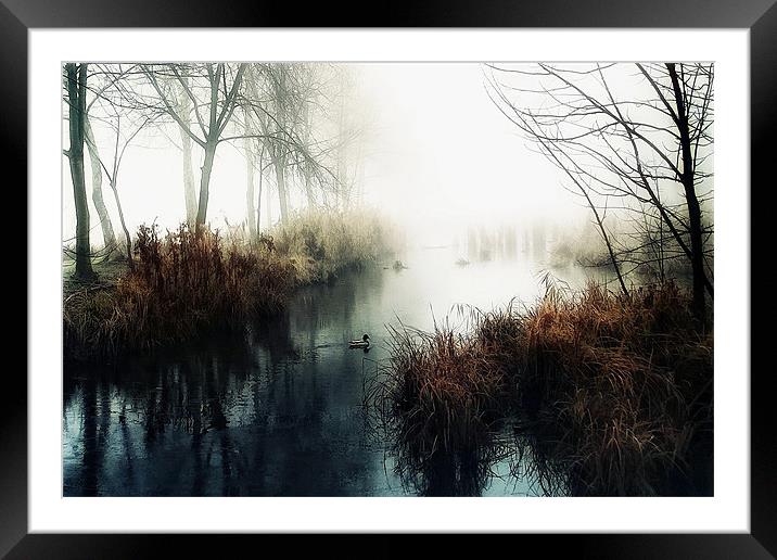 The quiet Framed Mounted Print by Gabor Dvornik