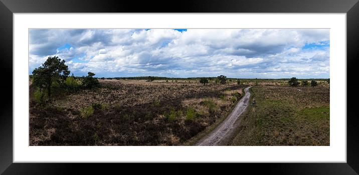 heathland Framed Mounted Print by Jo Beerens