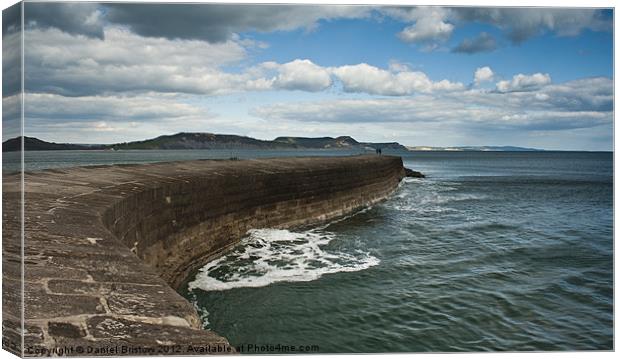 The Cobb Wall, Canvas Print by Daniel Bristow