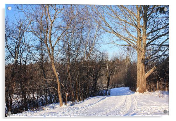 Scenic Winter Acrylic by Albert Gallant
