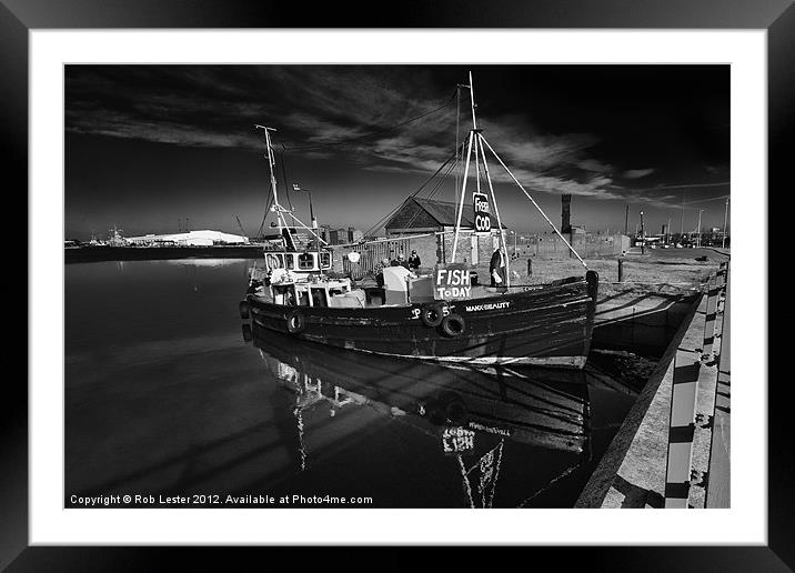 Manx Beauty Framed Mounted Print by Rob Lester