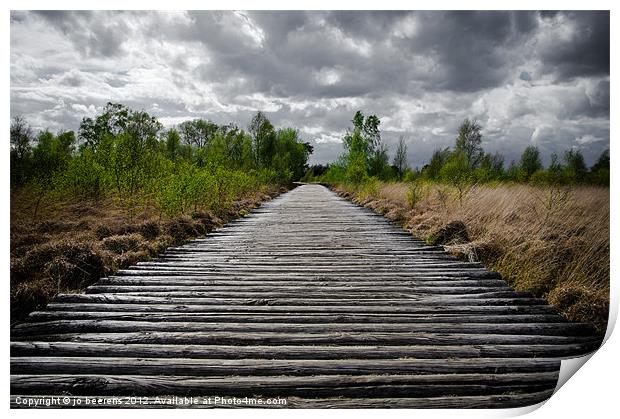 wooden path Print by Jo Beerens