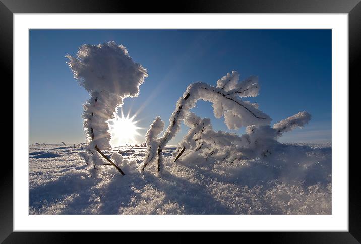 Sunrise frozen arctic Framed Mounted Print by mark humpage