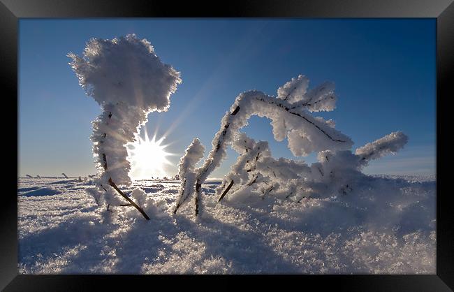 Sunrise frozen arctic Framed Print by mark humpage