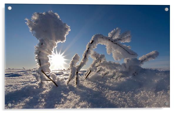 Sunrise frozen arctic Acrylic by mark humpage
