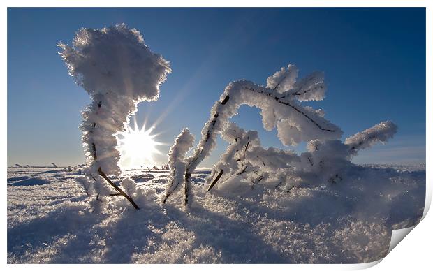 Sunrise frozen arctic Print by mark humpage