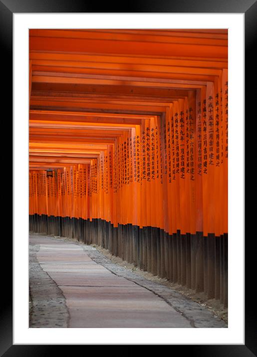 Fushimi Inari Shrine Framed Mounted Print by Christopher Acheson