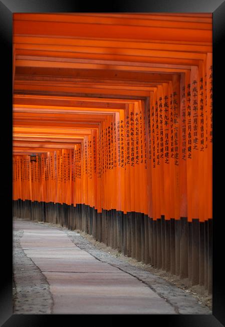 Fushimi Inari Shrine Framed Print by Christopher Acheson