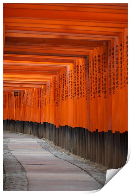 Fushimi Inari Shrine Print by Christopher Acheson