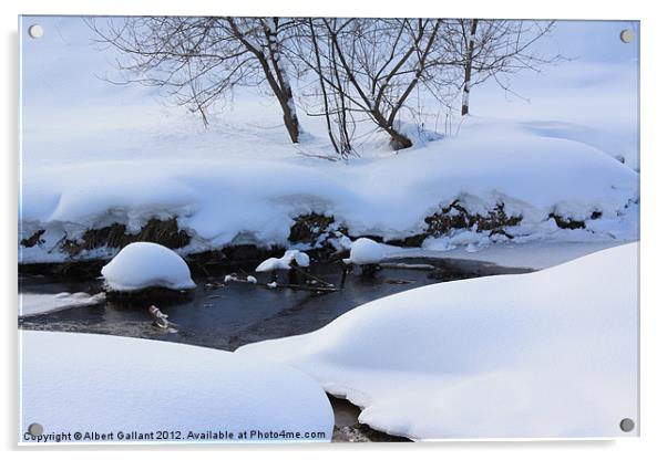 Winter Brook Acrylic by Albert Gallant
