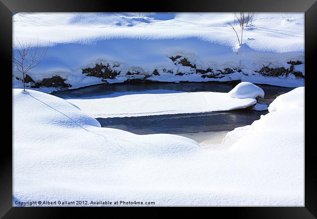 Shades of Winter Framed Print by Albert Gallant