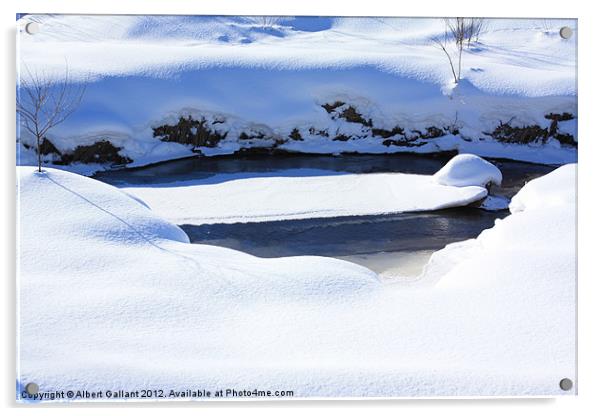 Shades of Winter Acrylic by Albert Gallant